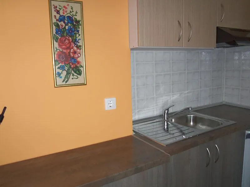 Rooms Elena Νέα Ποτίδαια Διαμέρισμα