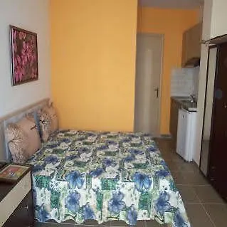 Διαμέρισμα Rooms Elena Νέα Ποτίδαια